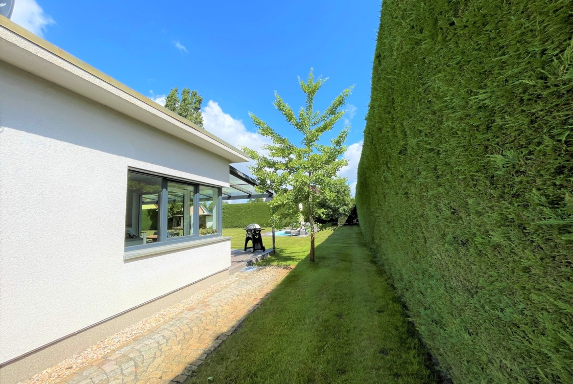 Grüne Privatsphäre - Ein verwunschener Garten mit hohen Hecken als perfekter Sichtschutz