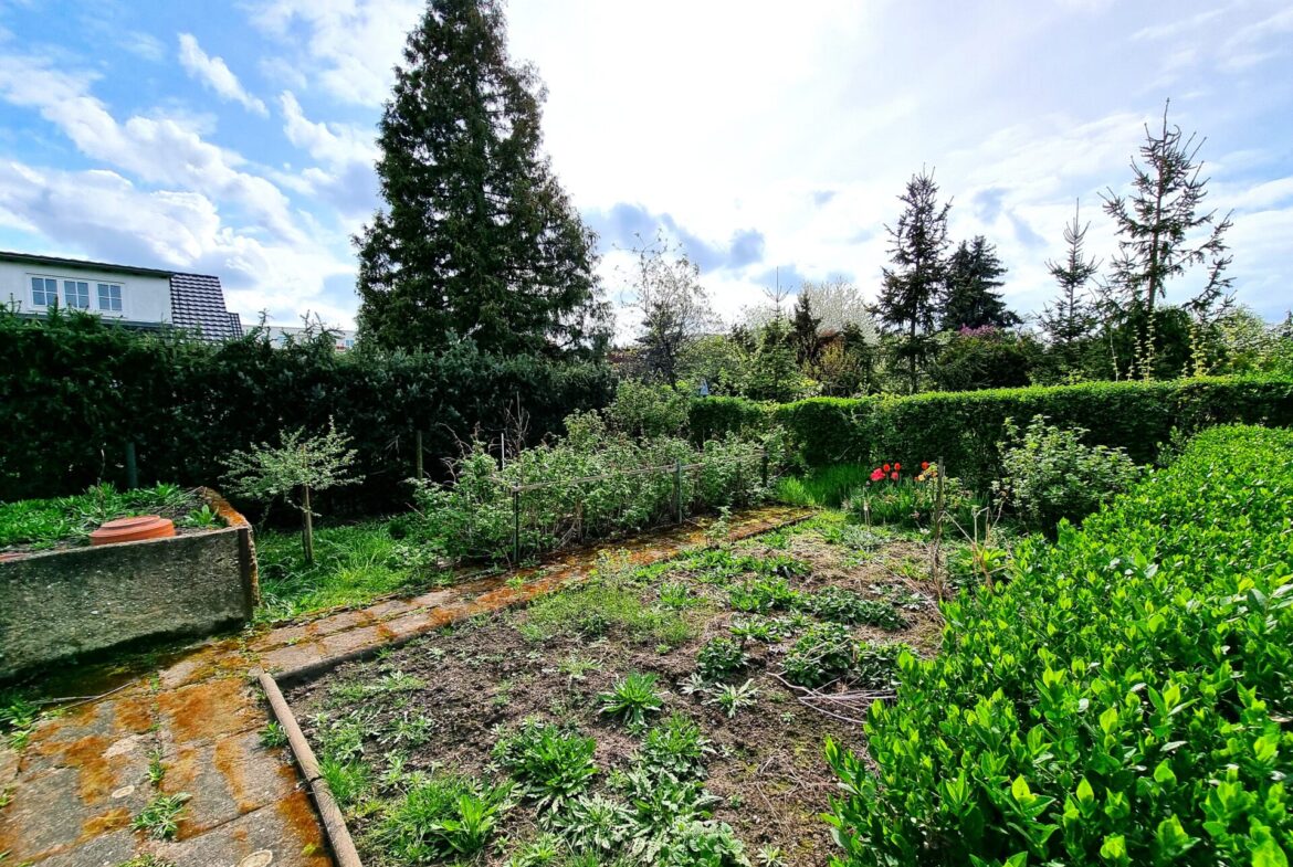 Gemüsegarten im hinteren Bereich des Grundstücks