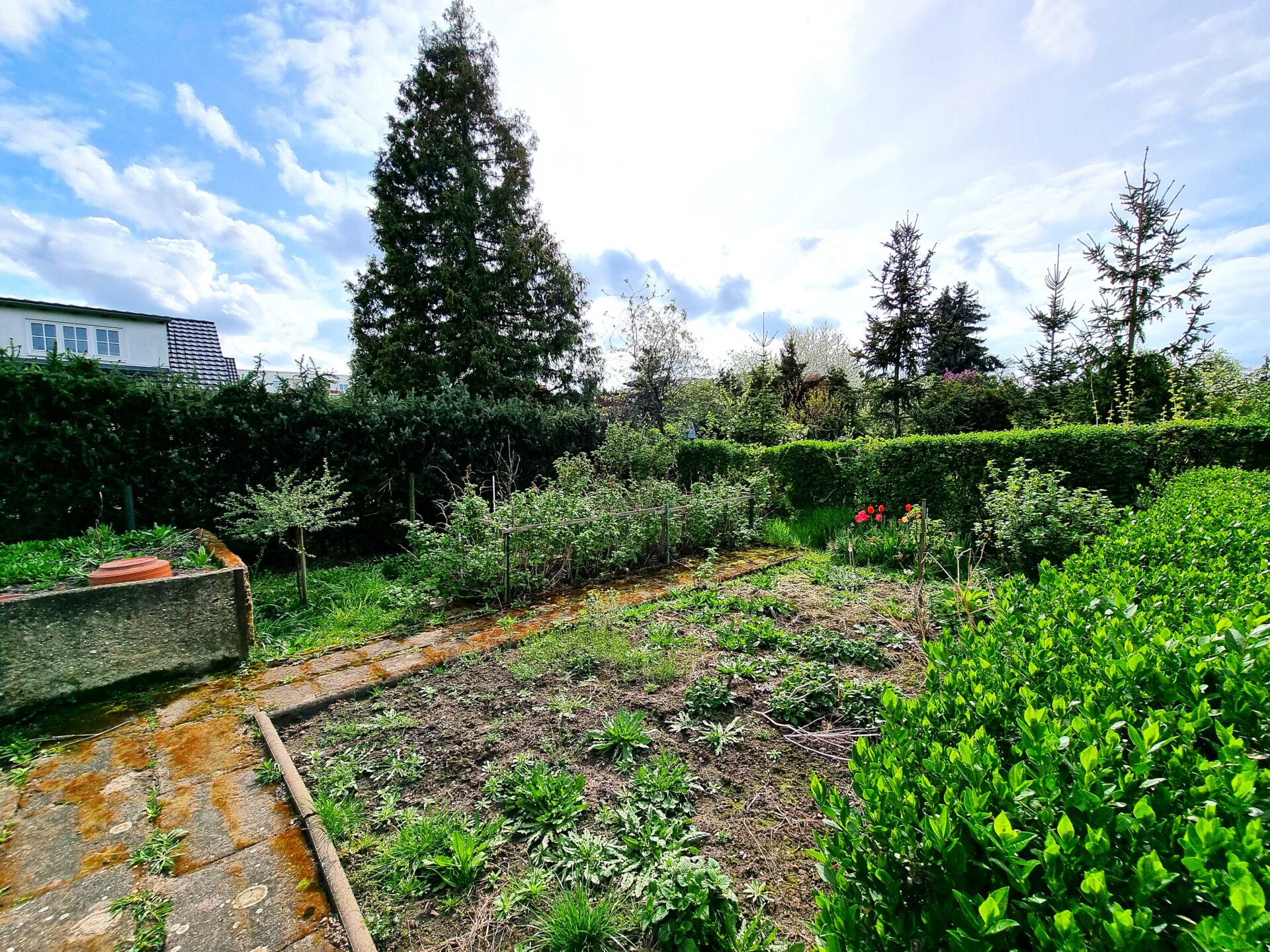 Gemüsegarten im hinteren Bereich des Grundstücks