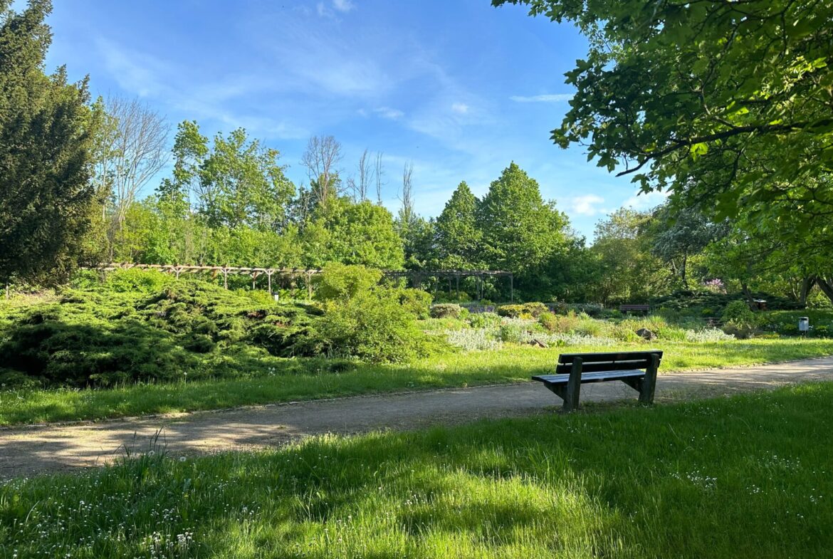 Park in unmittelbarer Nähe