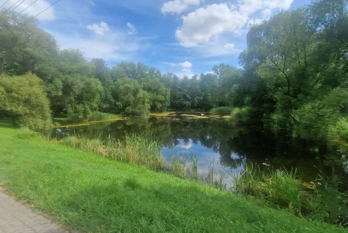 Blick vom Haus in den idylischen Park