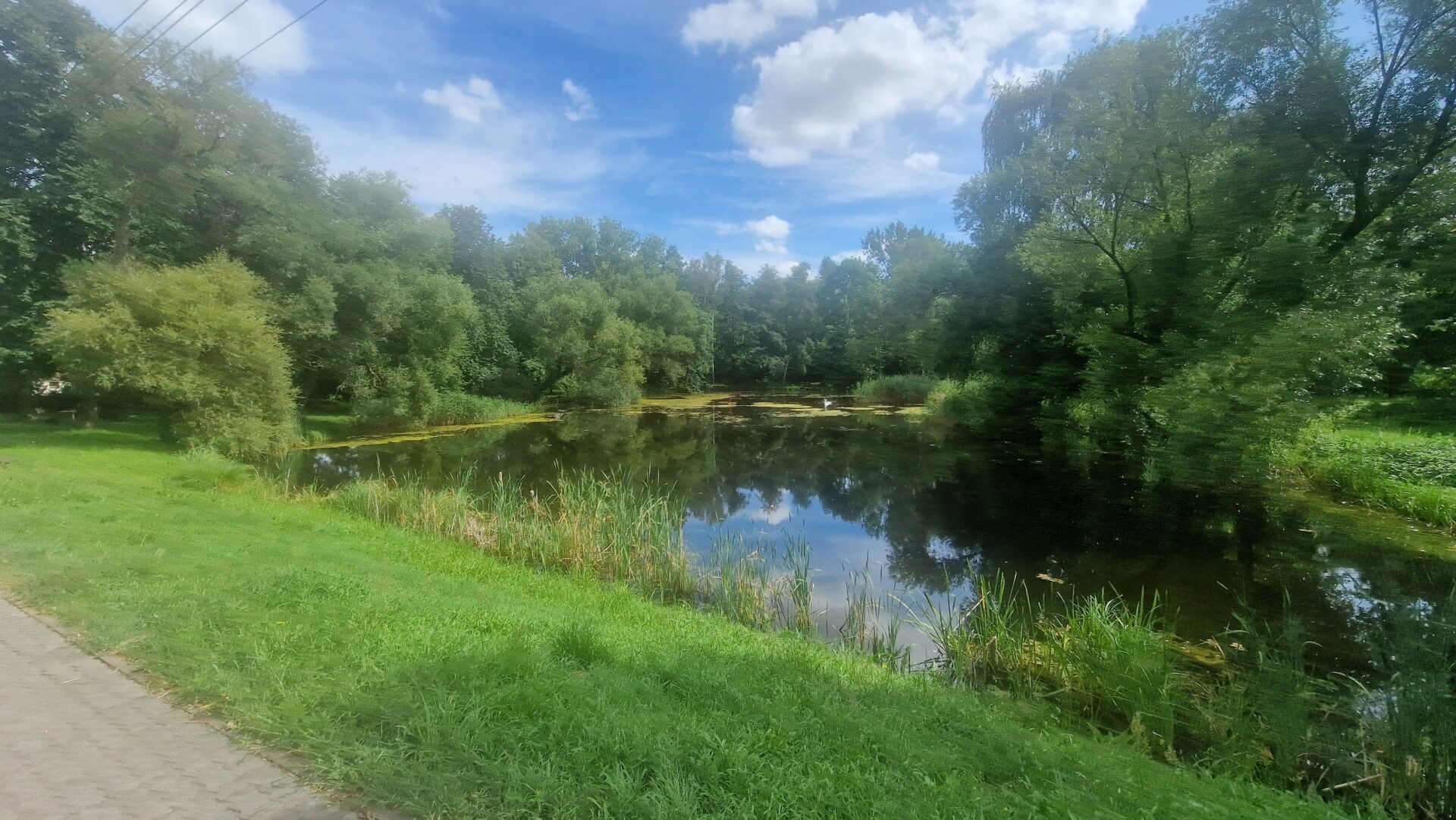 Blick vom Haus in den idylischen Park