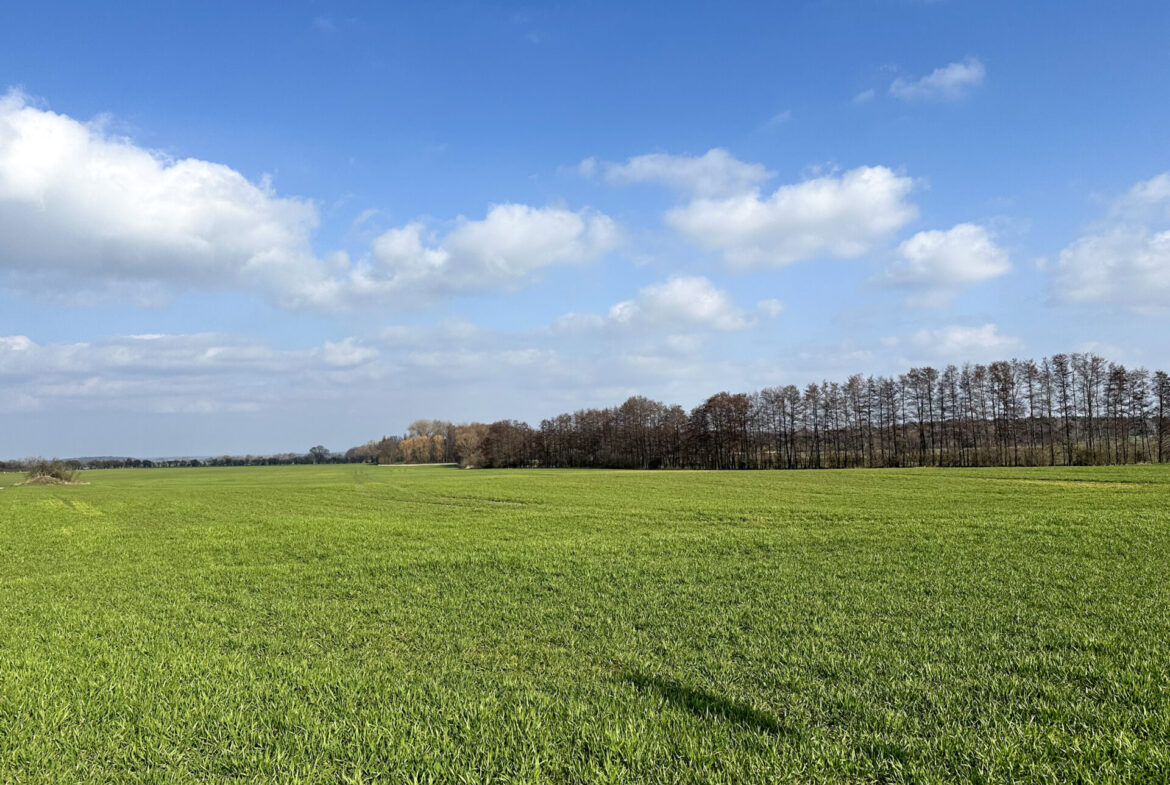 Große Landwirtschaftsfläche