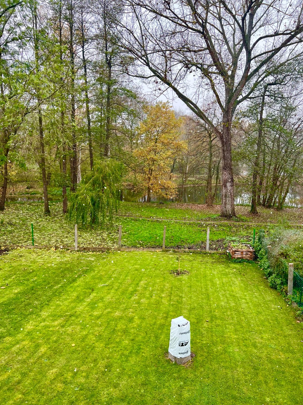 Grundstück mit Blick zum Teich