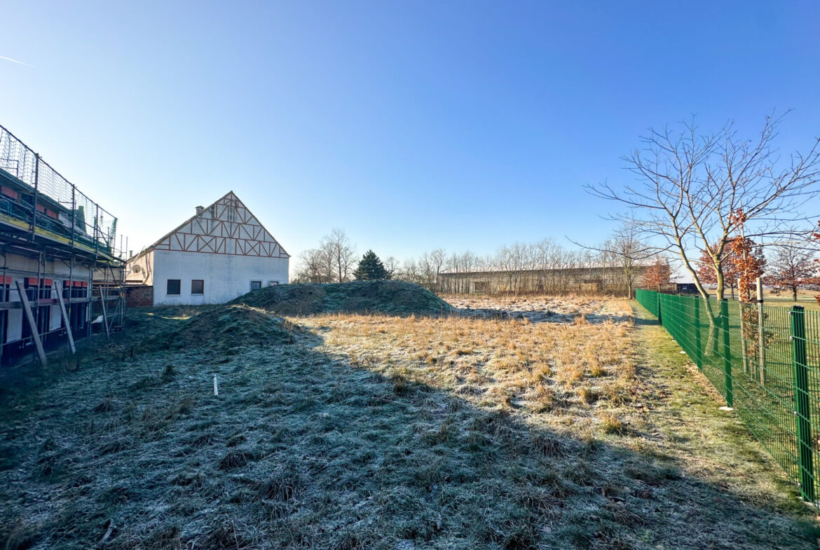 Große Gartenfläche