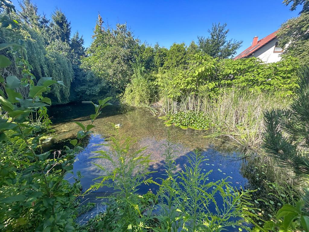 Teich auf dem Baugrundstück