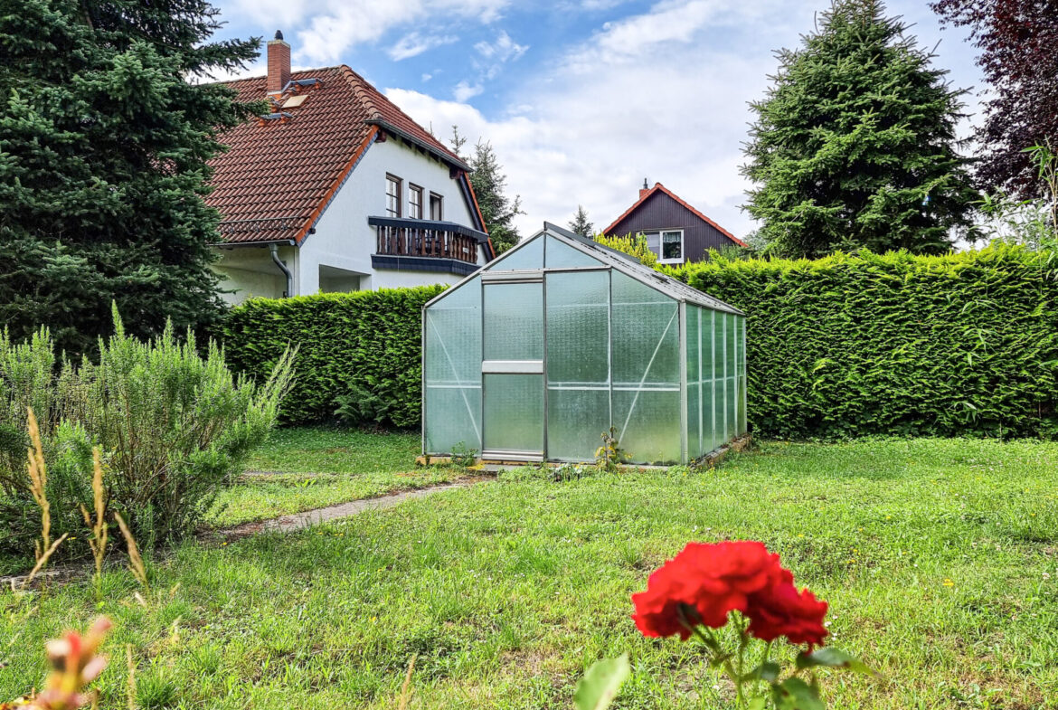 Gemüseanbau im Gewächshaus