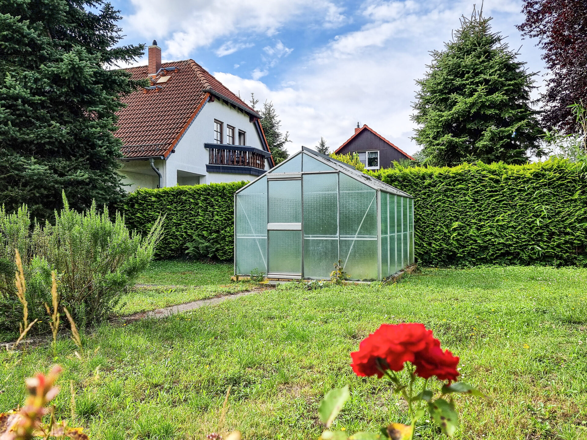 Gemüseanbau im Gewächshaus