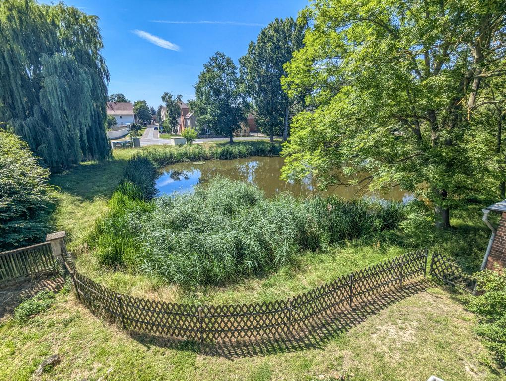 Blick auf den Teich vom Balkon