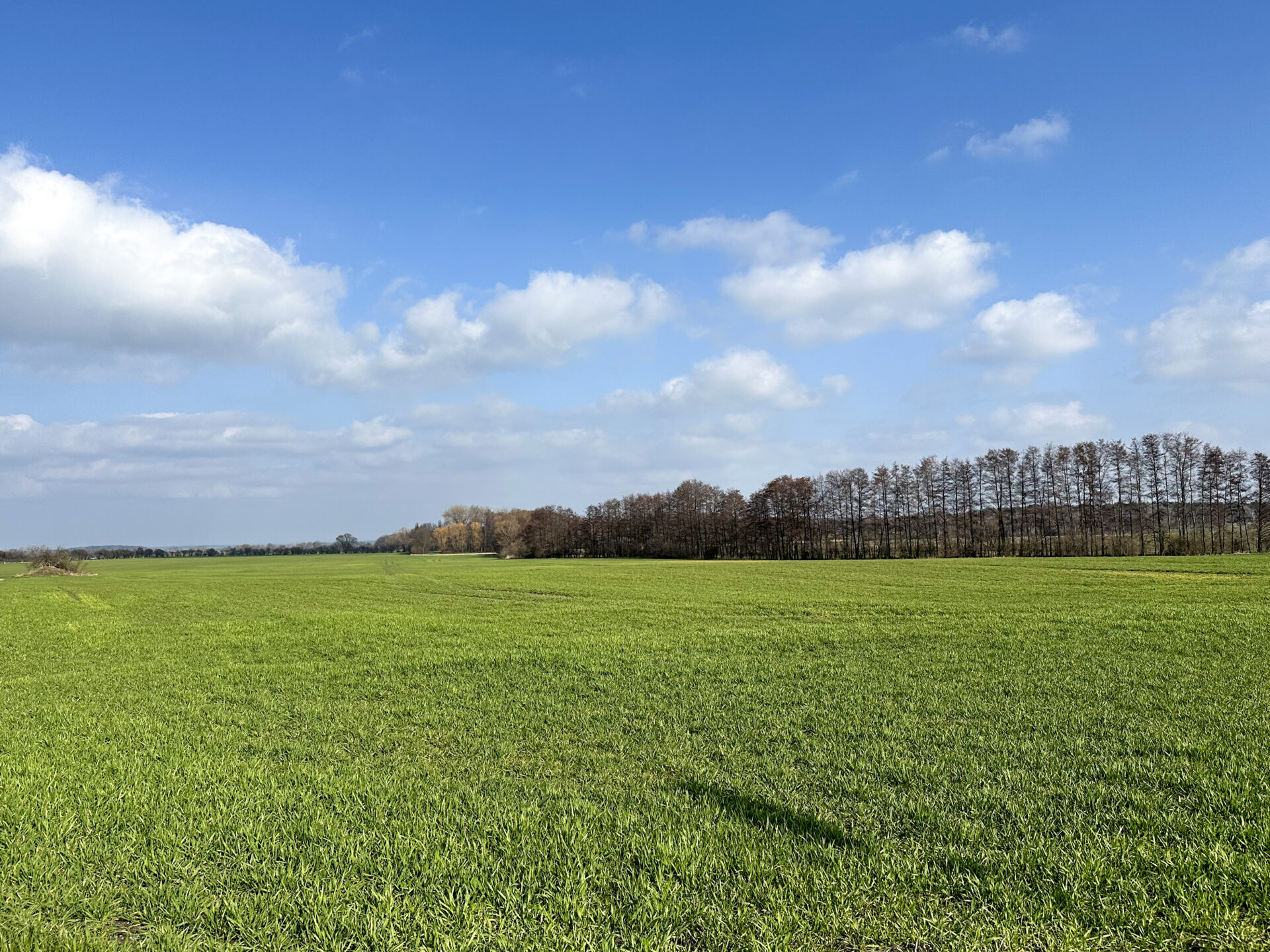 Große Landwirtschaftsfläche