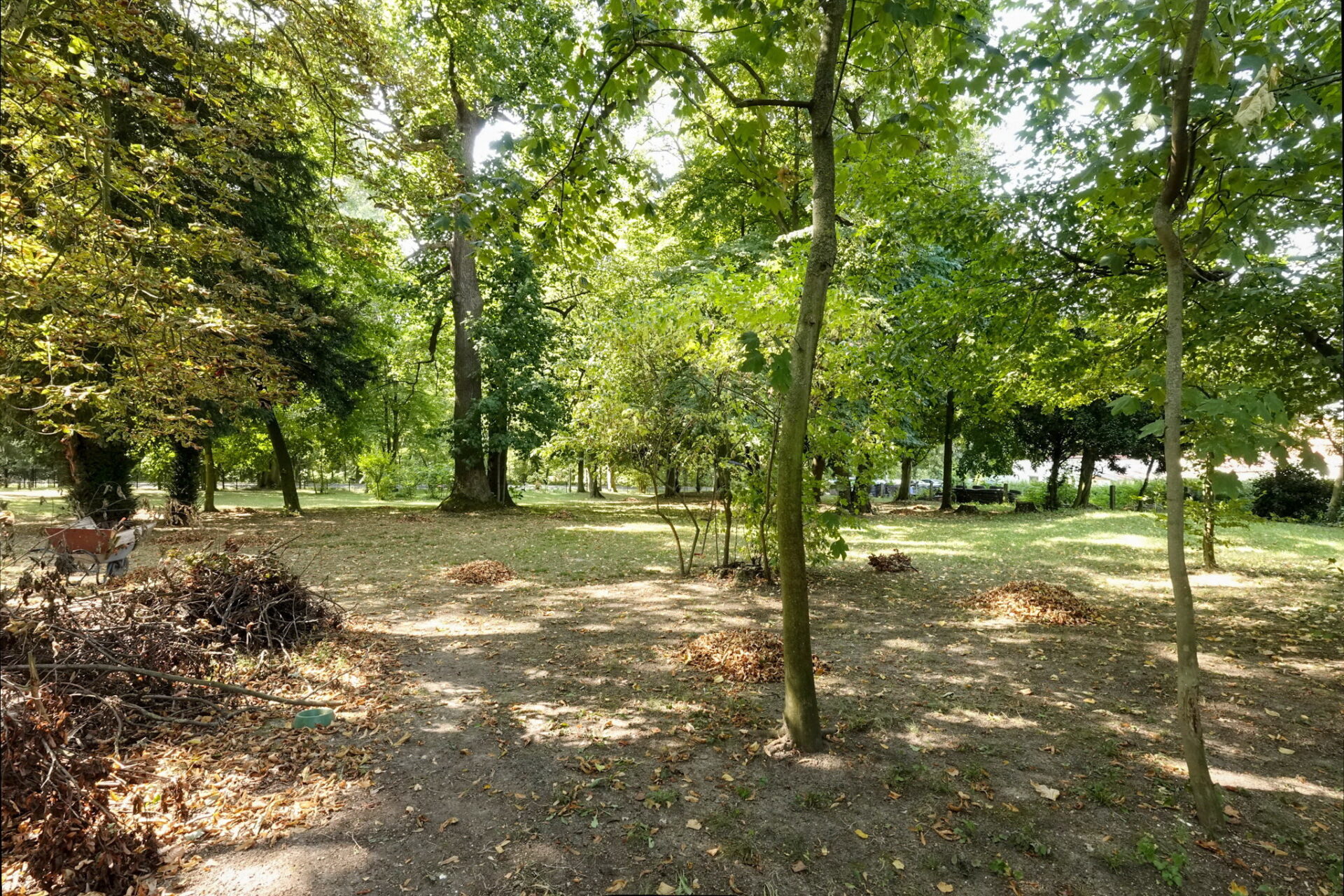 großer Park