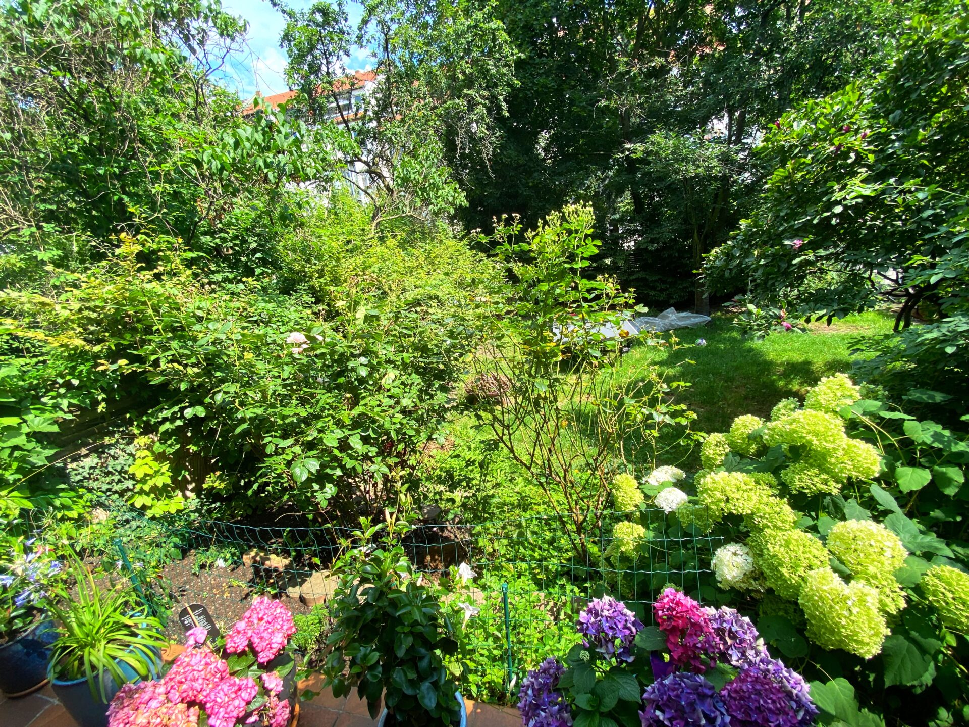 Gartenansicht von der Terrasse