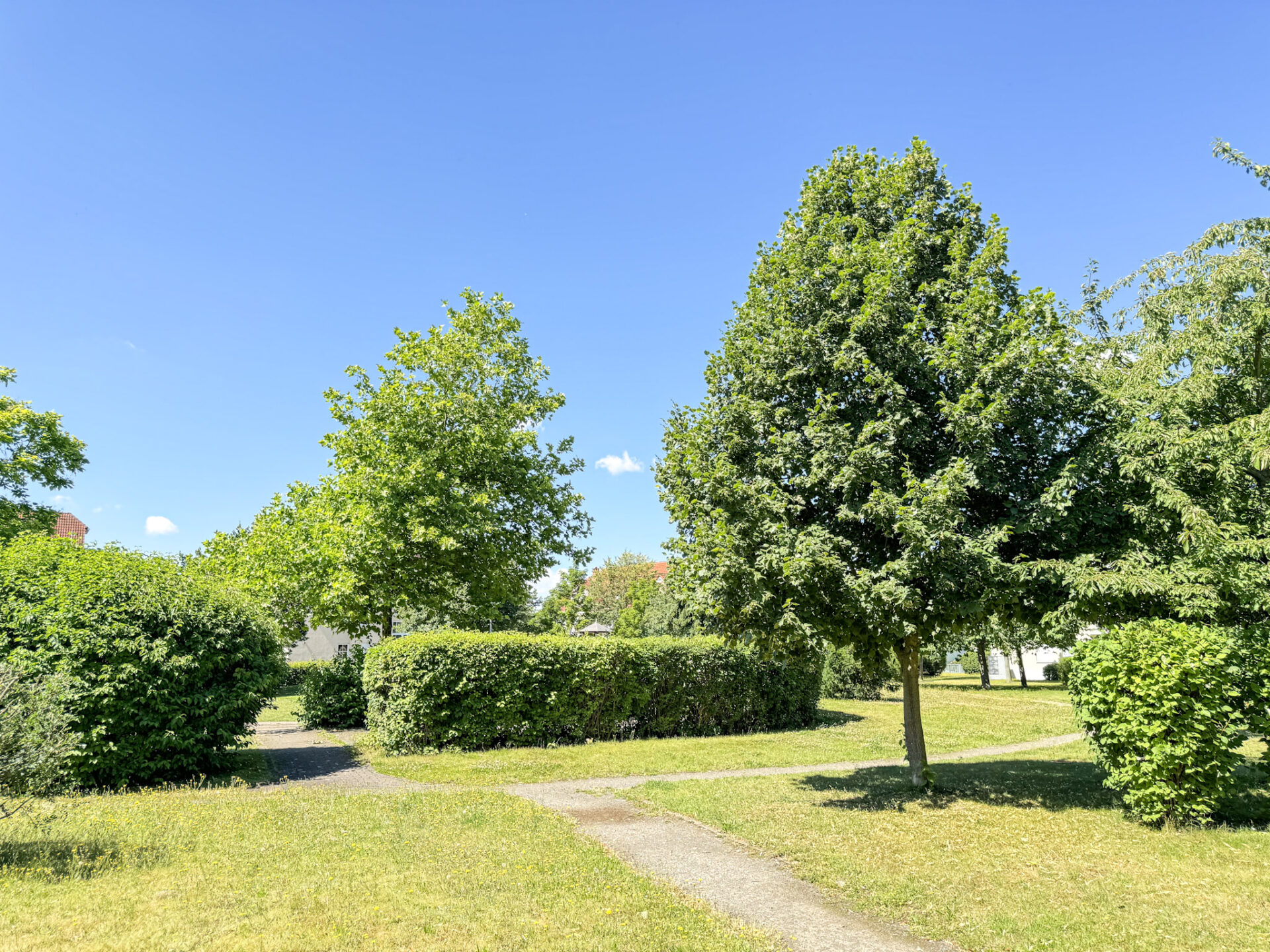 Park direkt vor der Haustür