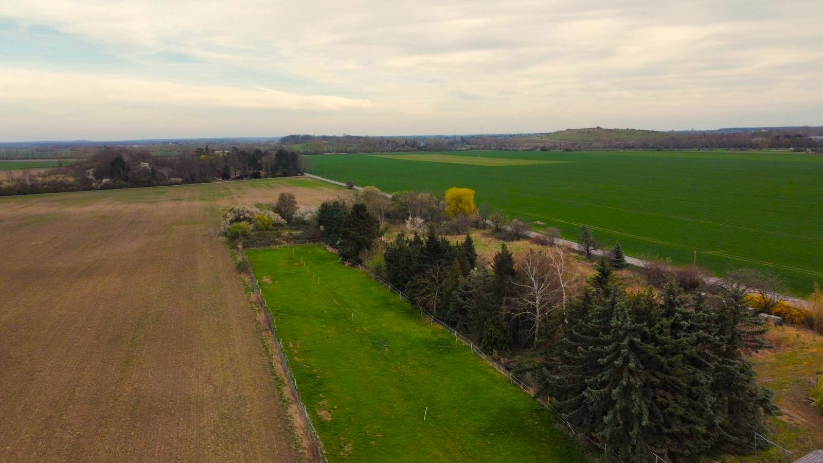 Blick auf das ganze Grundstück 