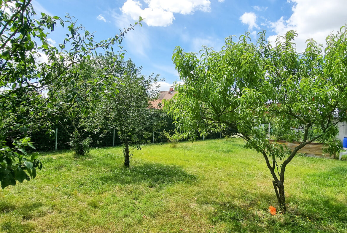 begrünter Garten mit Obst- und Ziergehölzen 