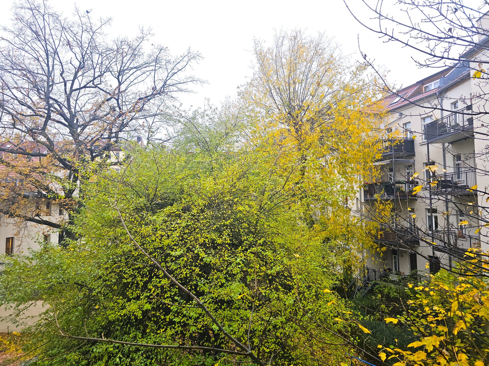 Blick in den Innenhof