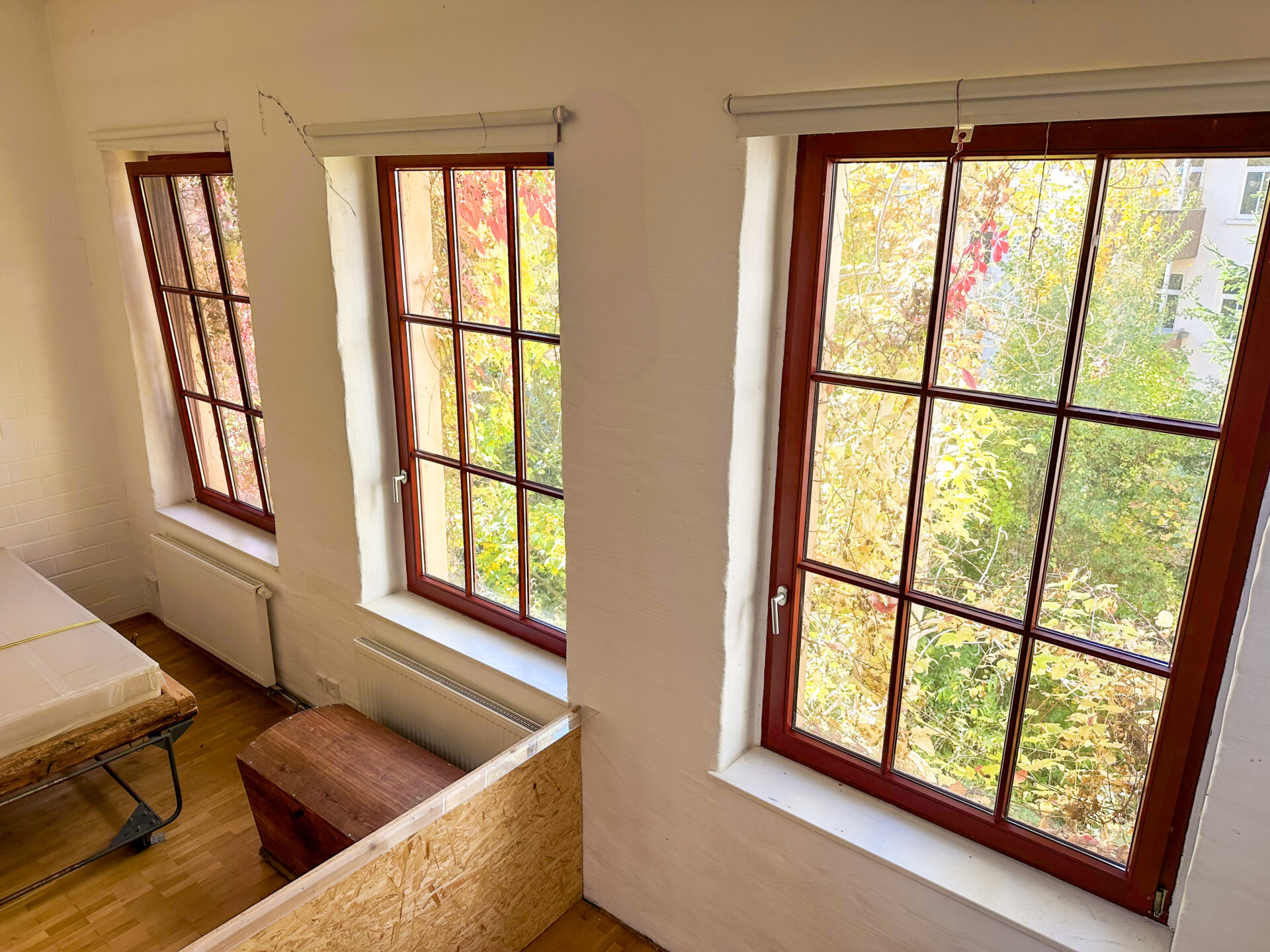 Riesige Fenster mit einem tollen Blick ins Grün