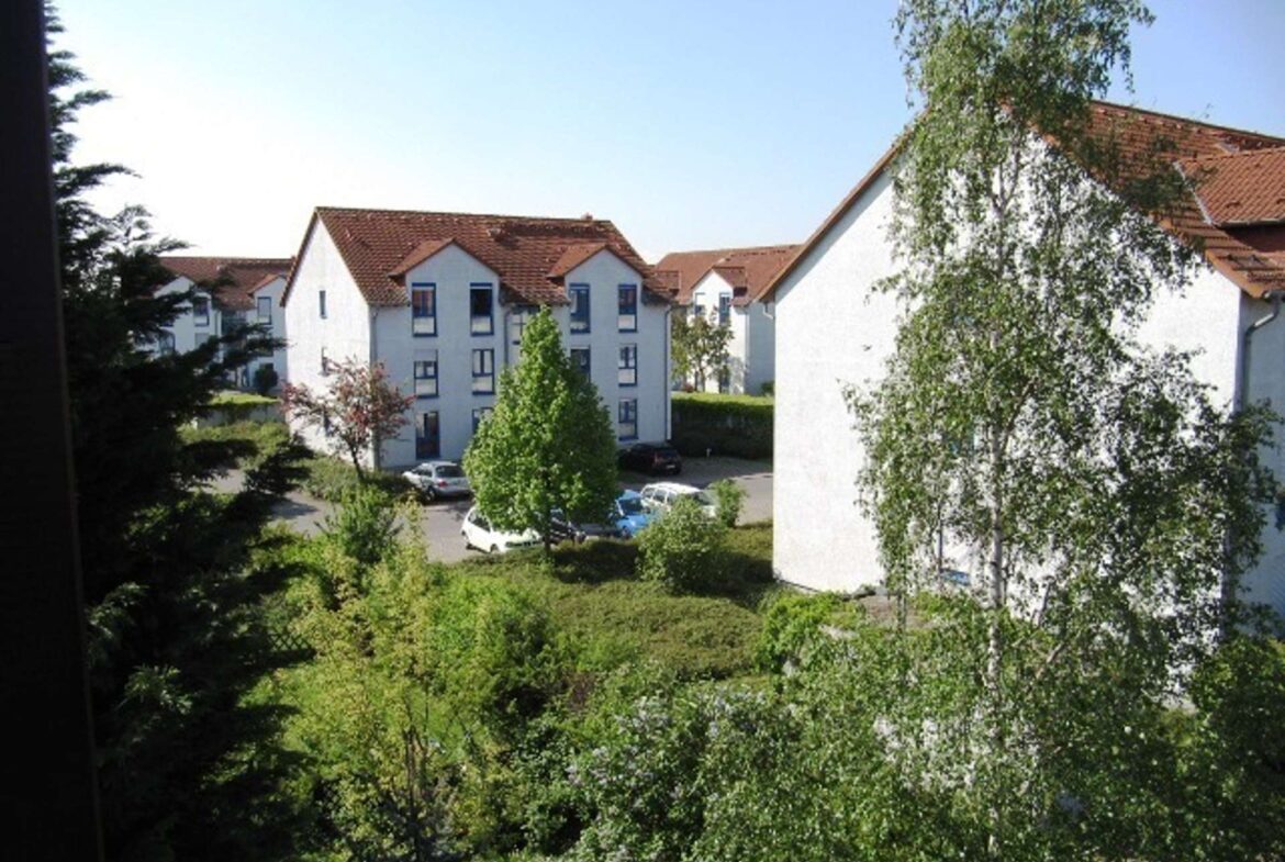 Blick ins Grüne