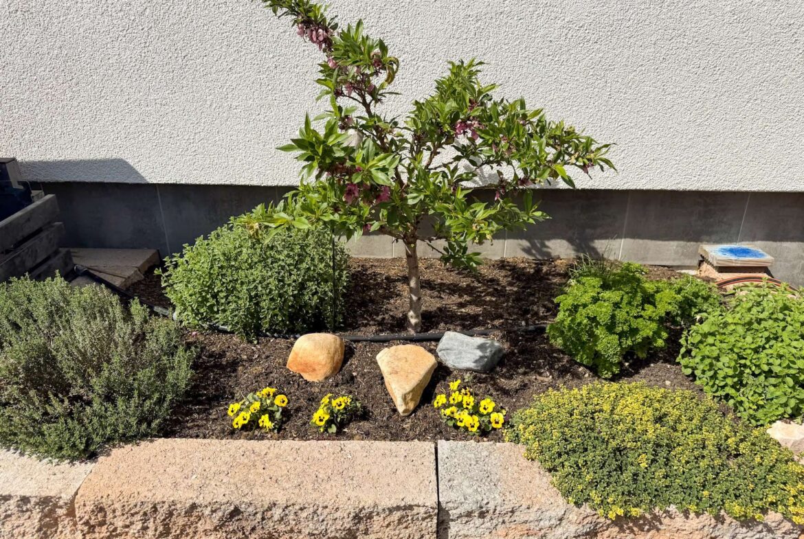 Gepflegte Beete