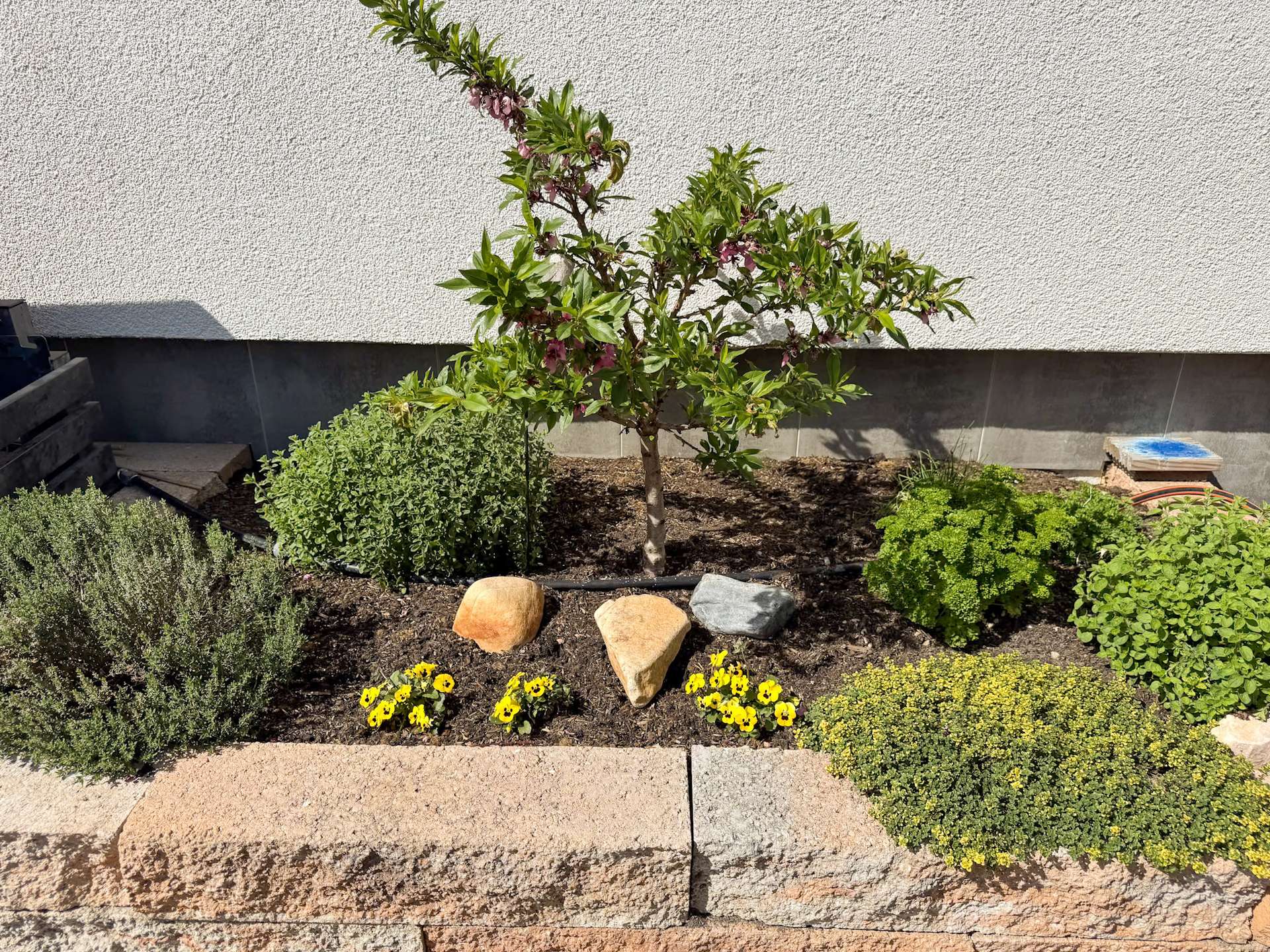Gepflegte Beete