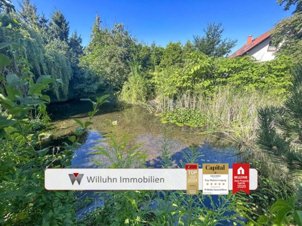 Teich auf dem Baugrundstück
