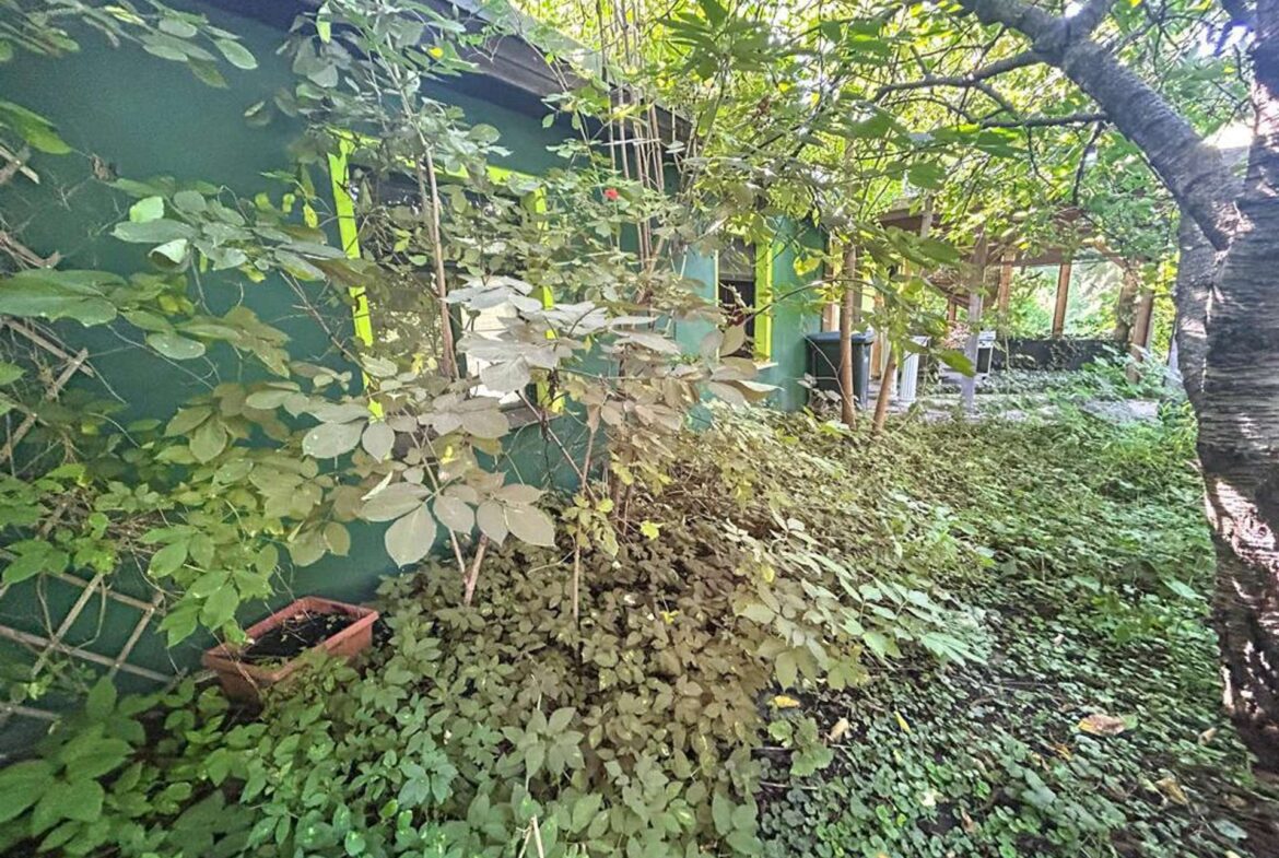 Alte Nebengelasse auf dem Grundstück