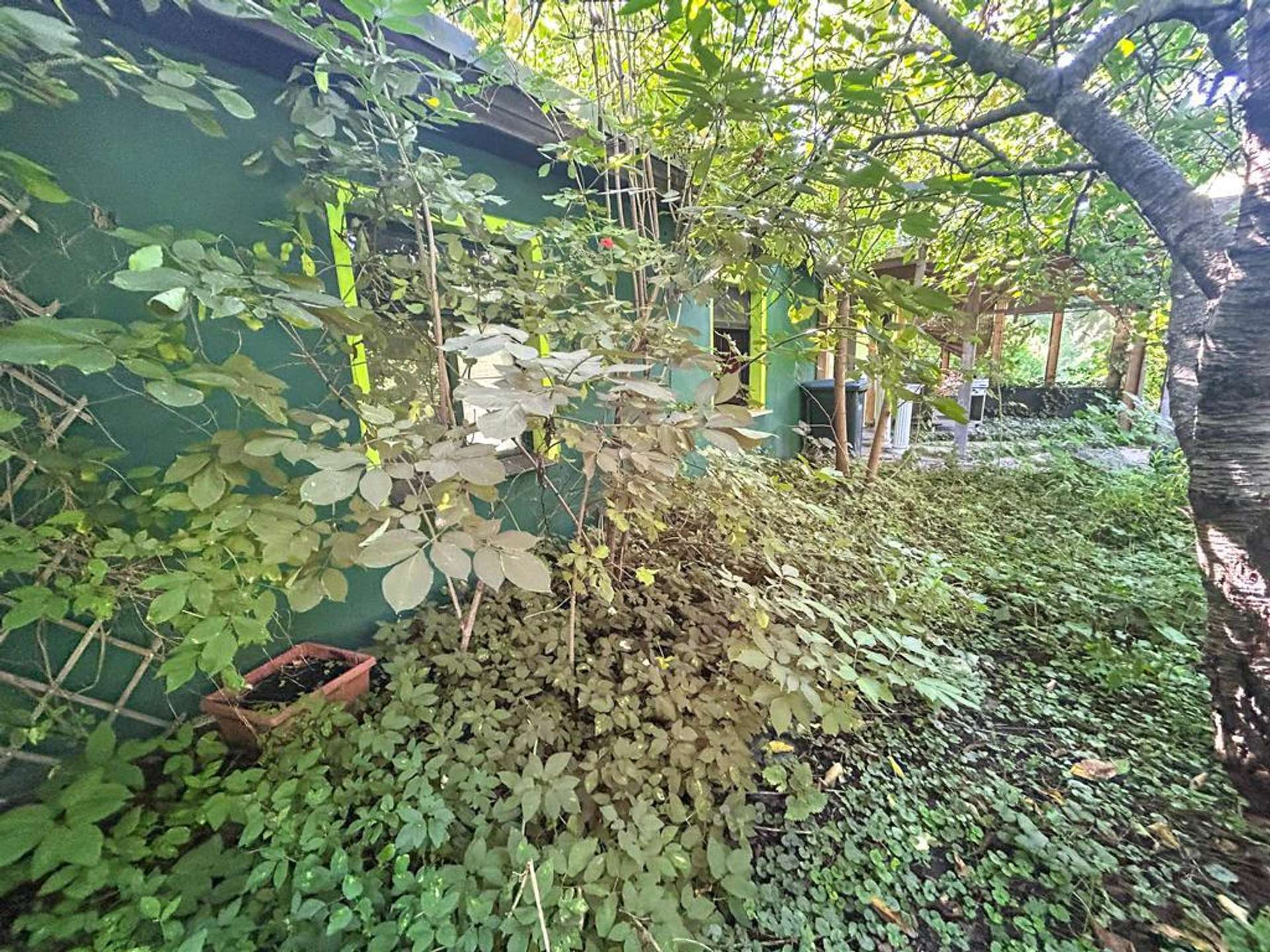 Alte Nebengelasse auf dem Grundstück
