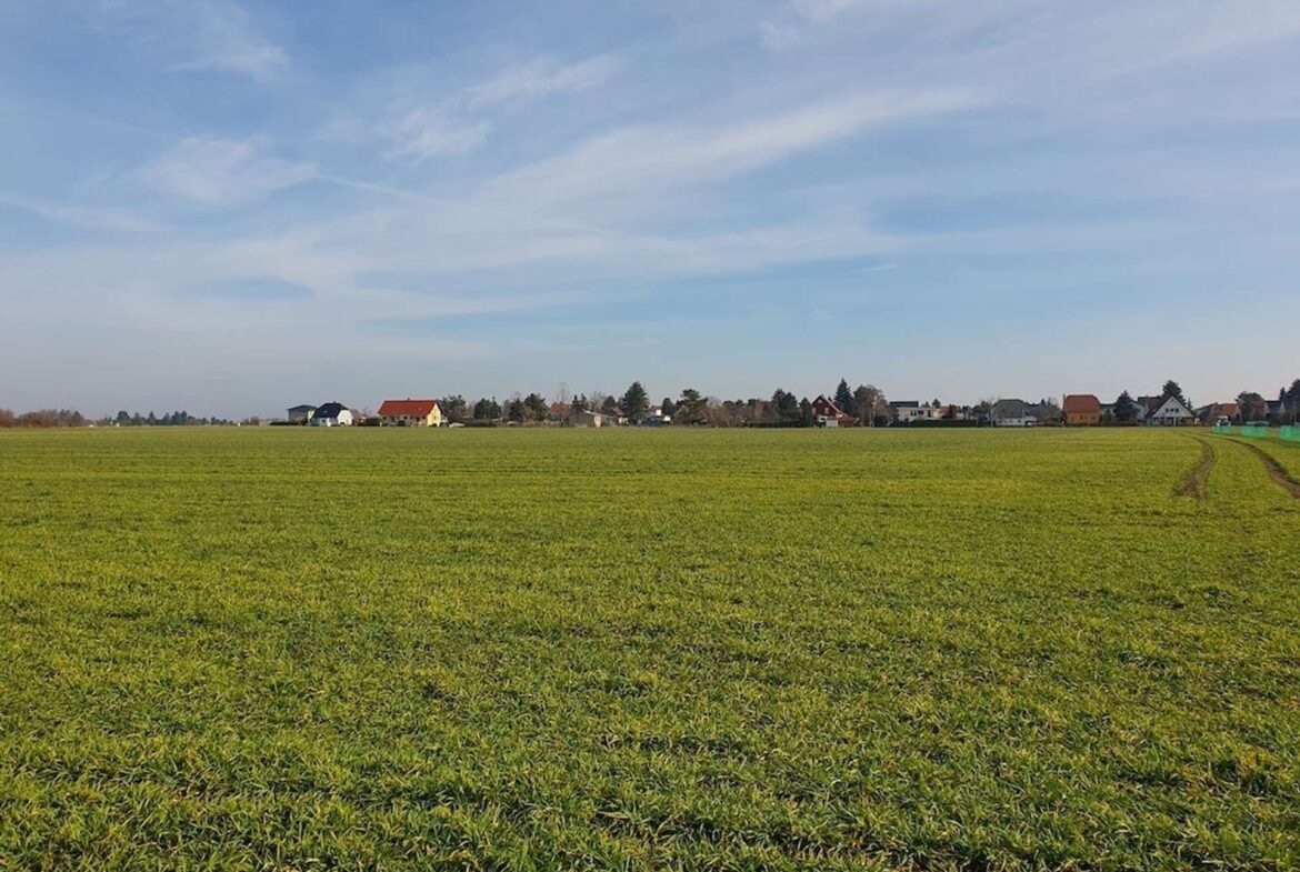 Umgebung