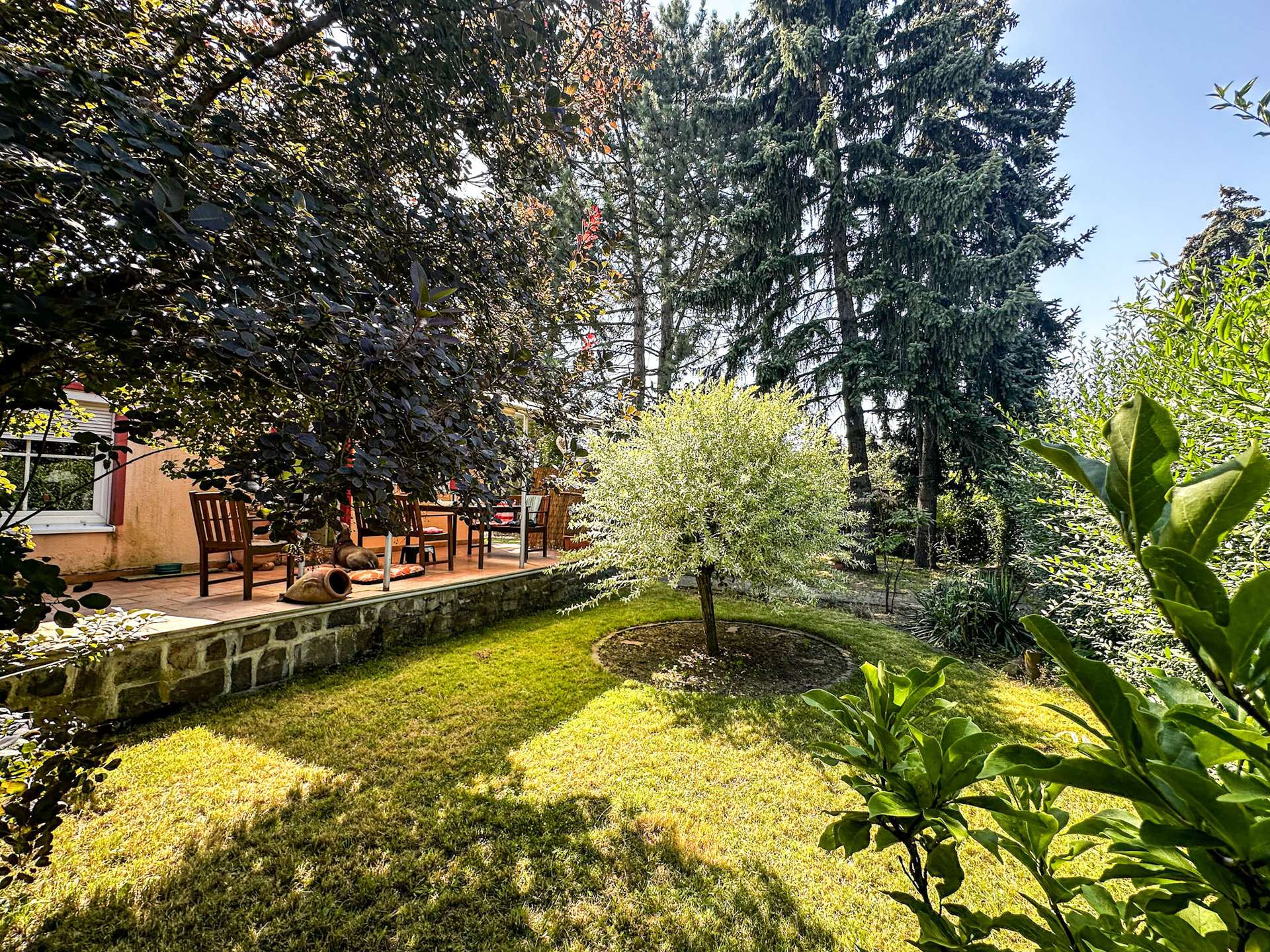 Gepflegter Garten