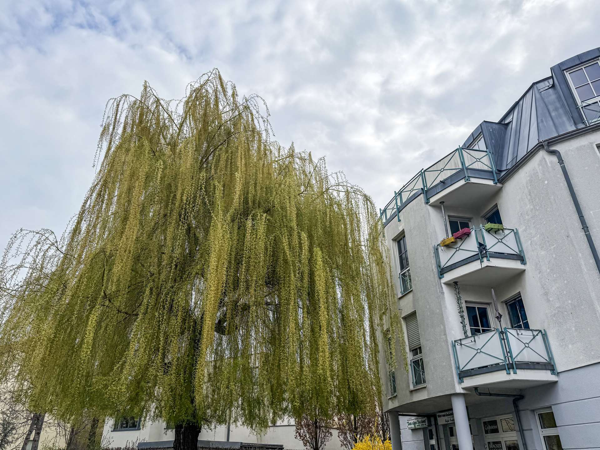 Objektansicht