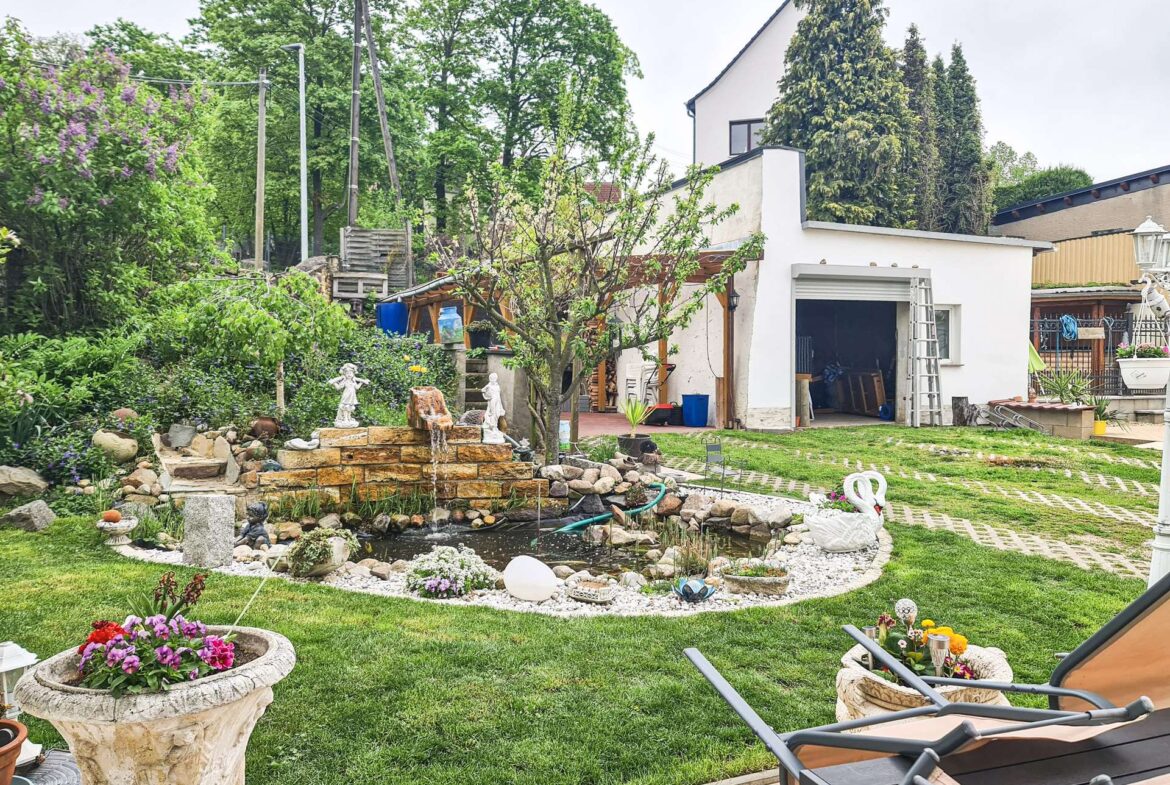 Blick in den Garten