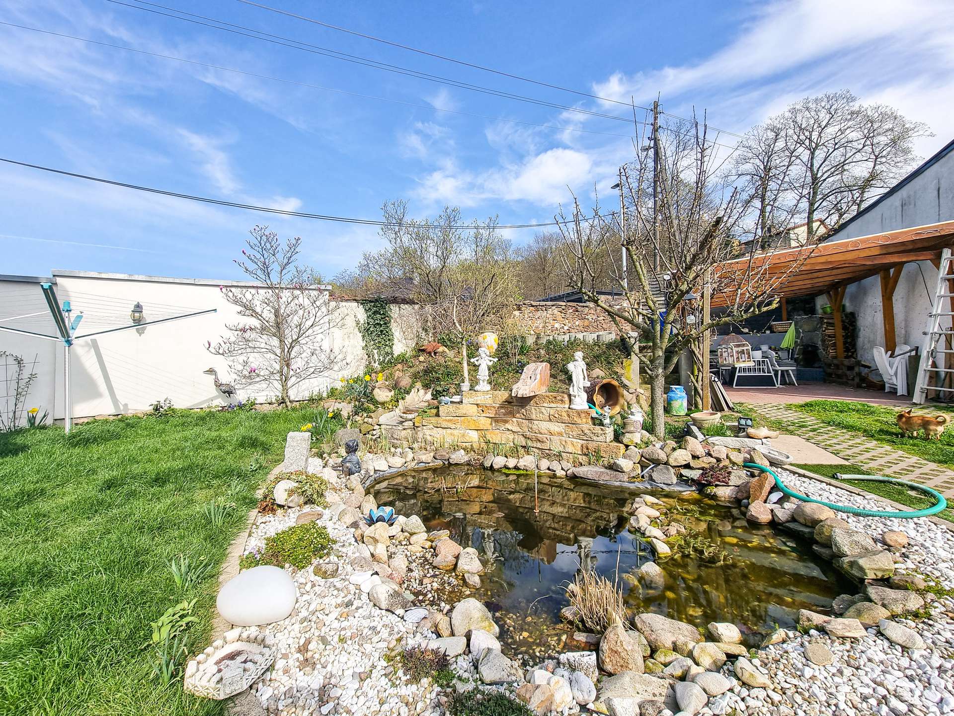 Blick in den Garten