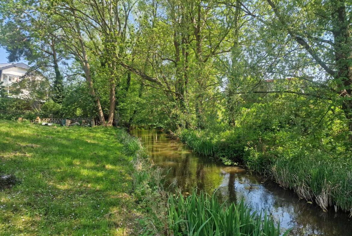 Am Bach