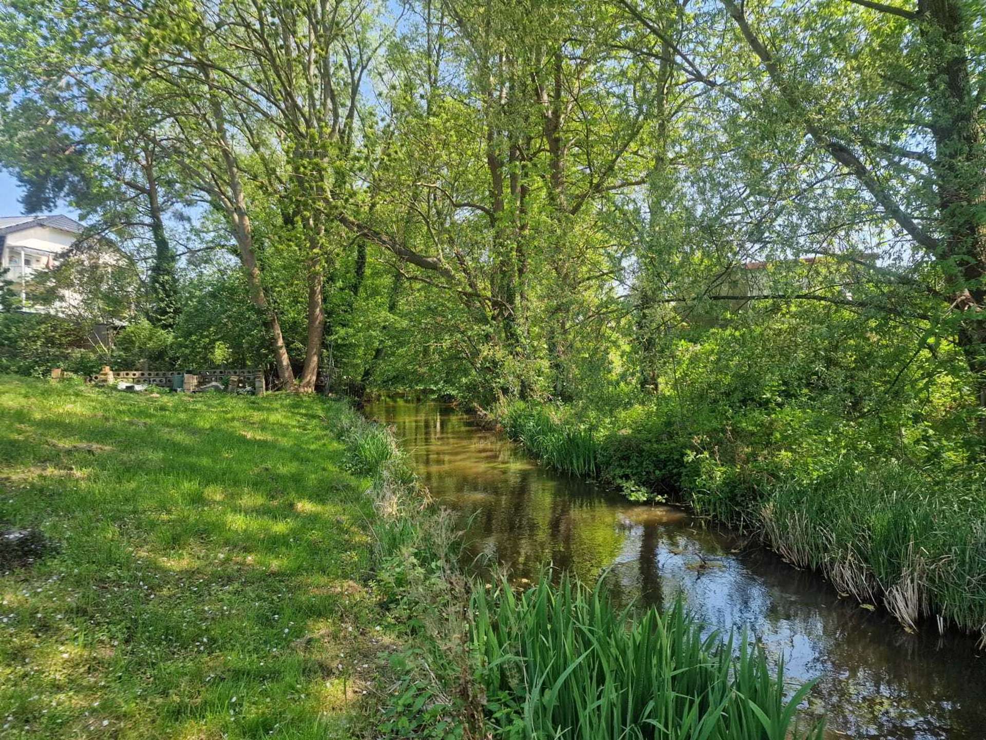Am Bach