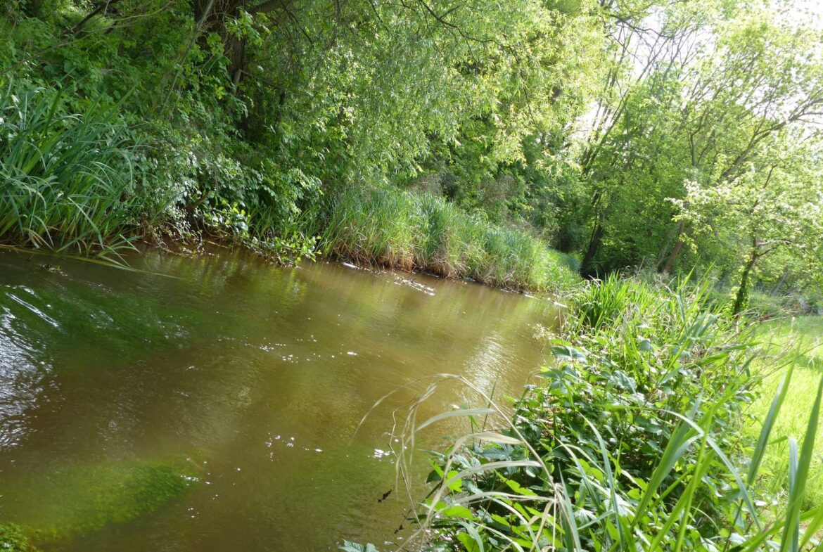 Grundstück am Wasser