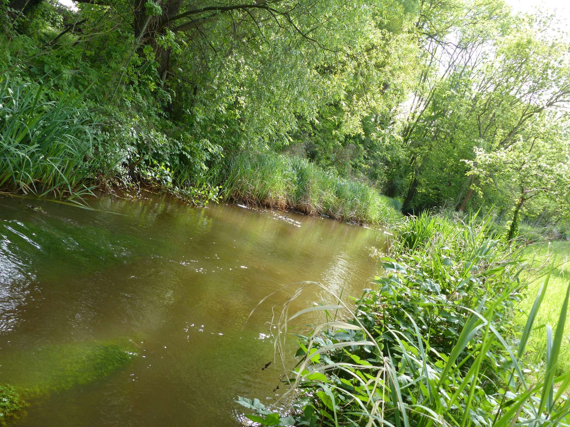 Grundstück am Wasser