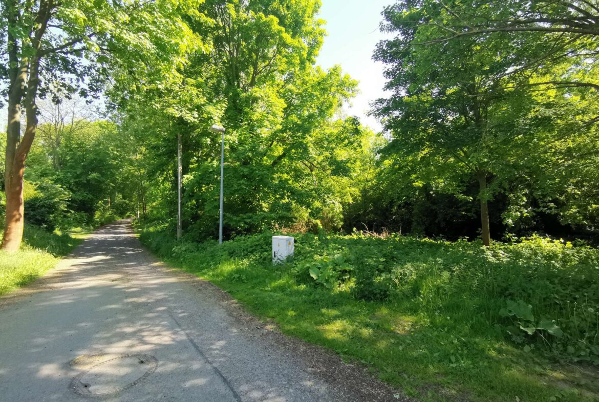 Umfeld