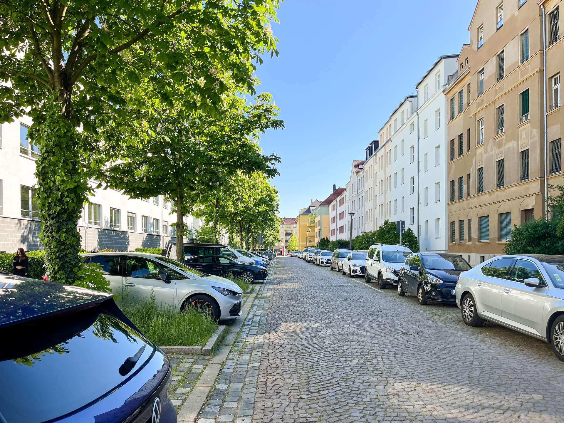 Blick zur Straße