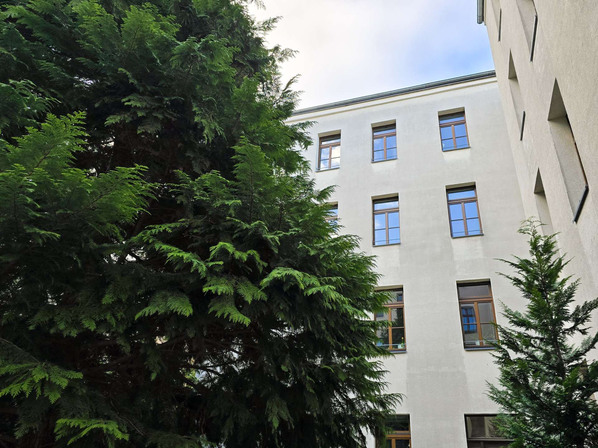 Grün mitten in der Stadt