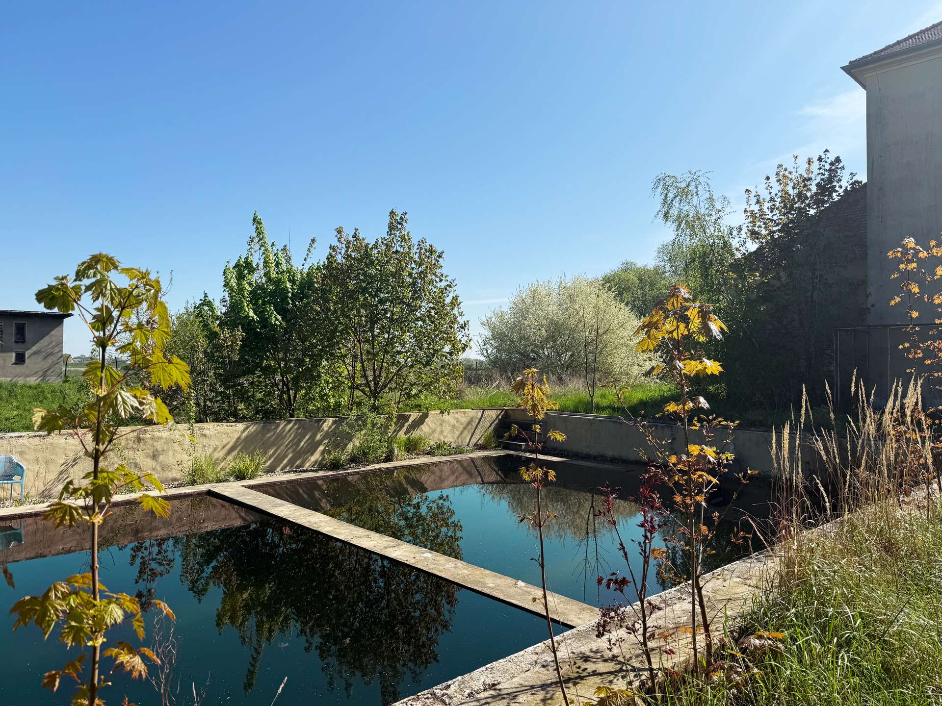Schwimmteich