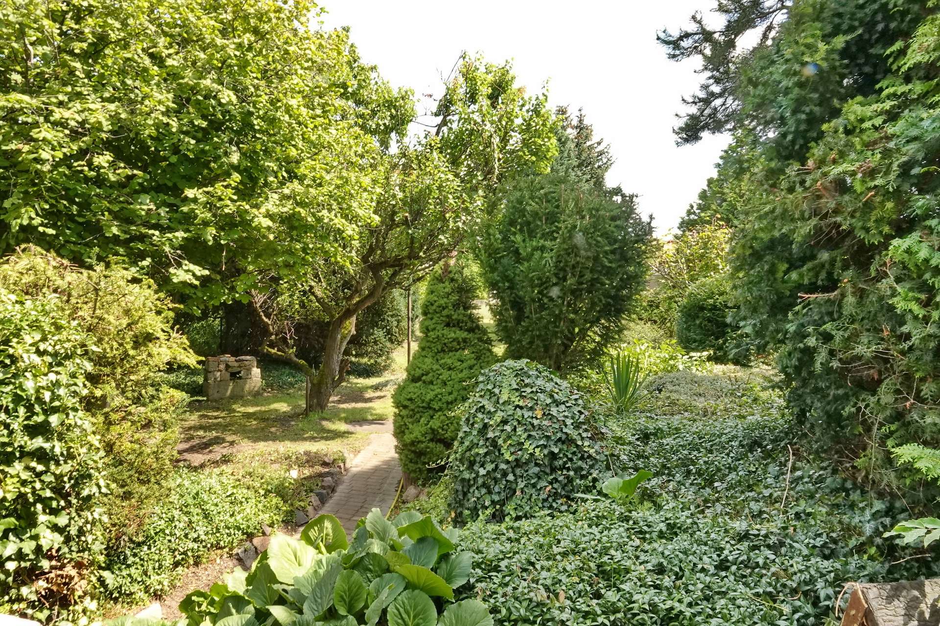 schöner Blick