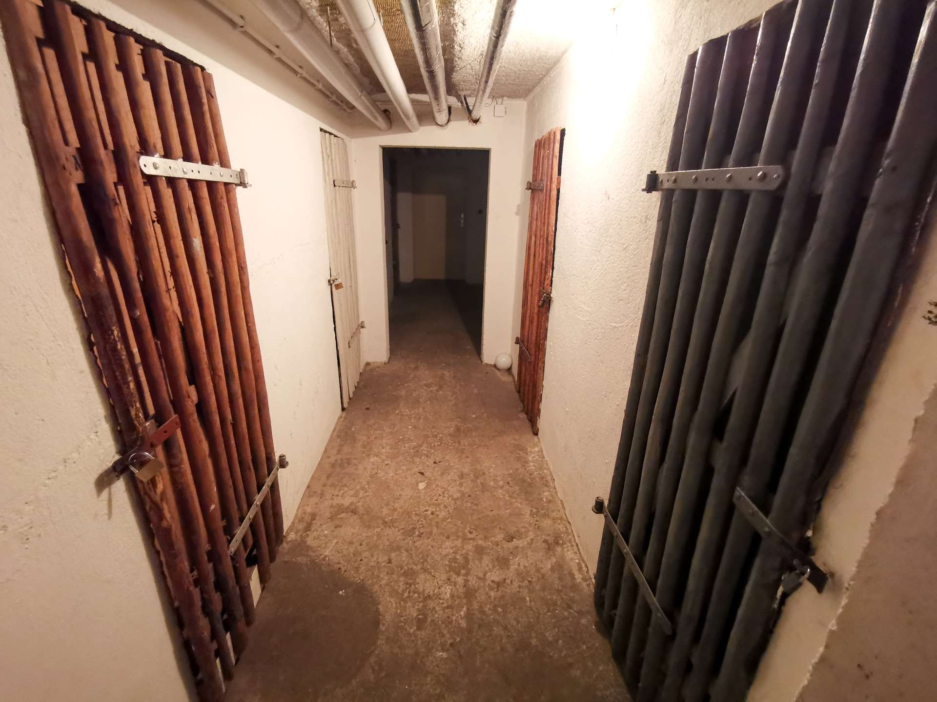 Aufgeräumter Kellerbereich