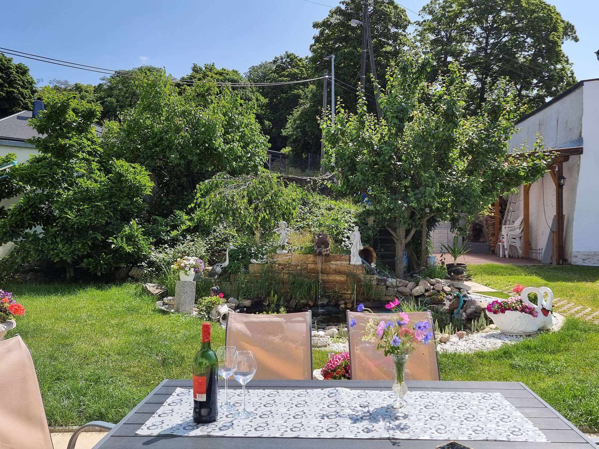 Blick in den Garten