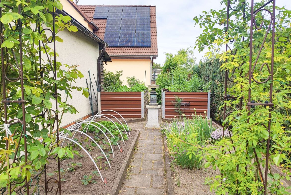 Garten-Beete