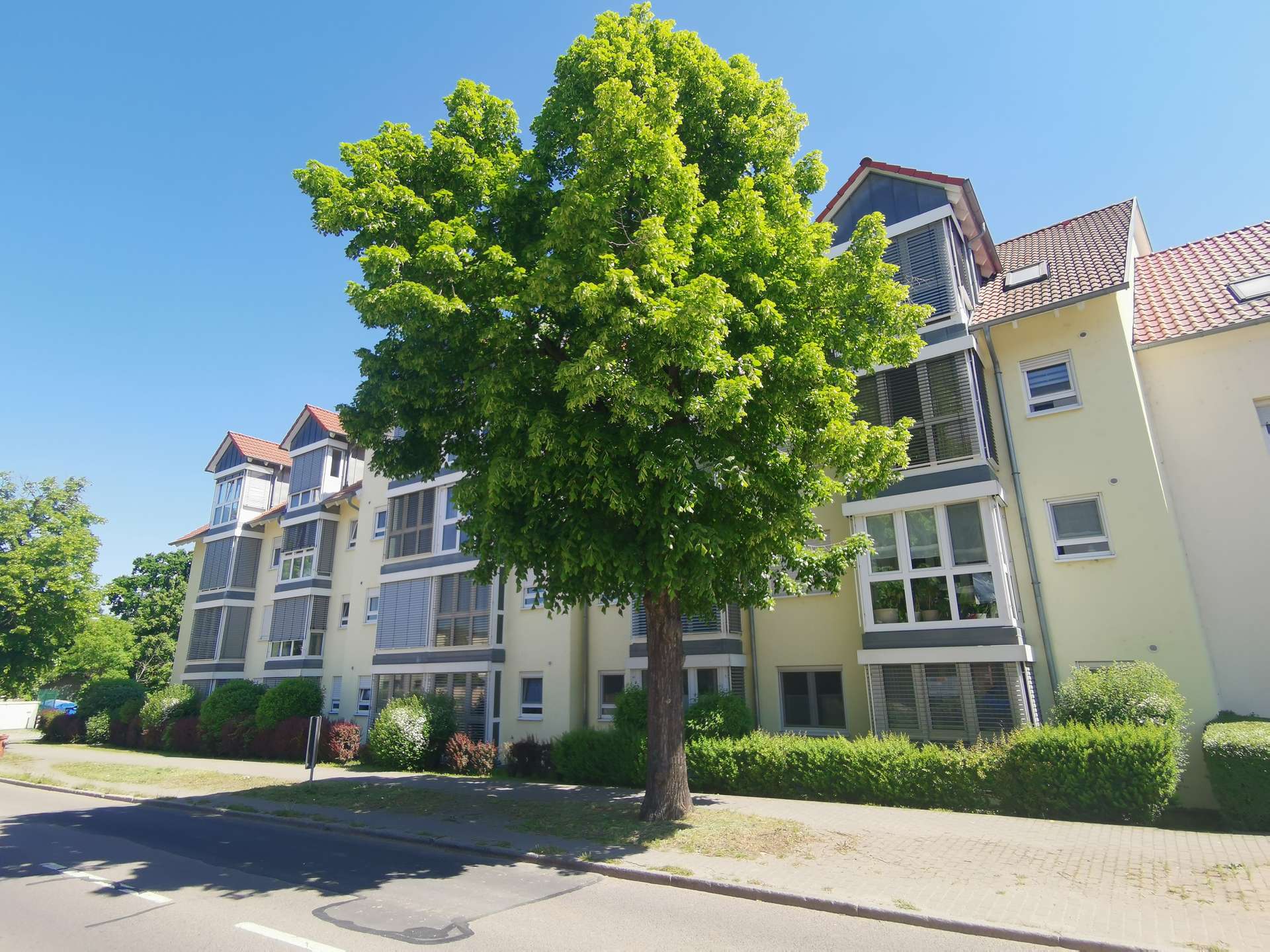 Hausansicht vorn