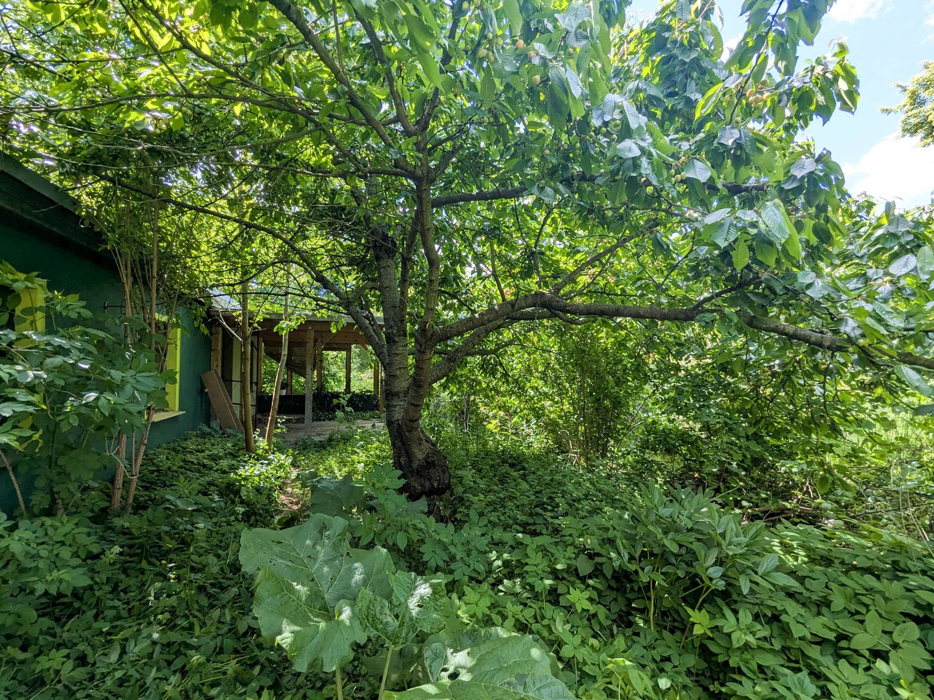 Vor dem Gästehaus