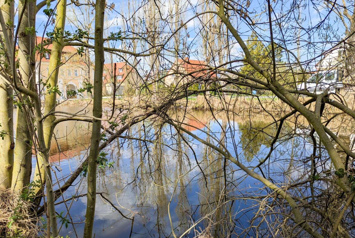 Wasserblick