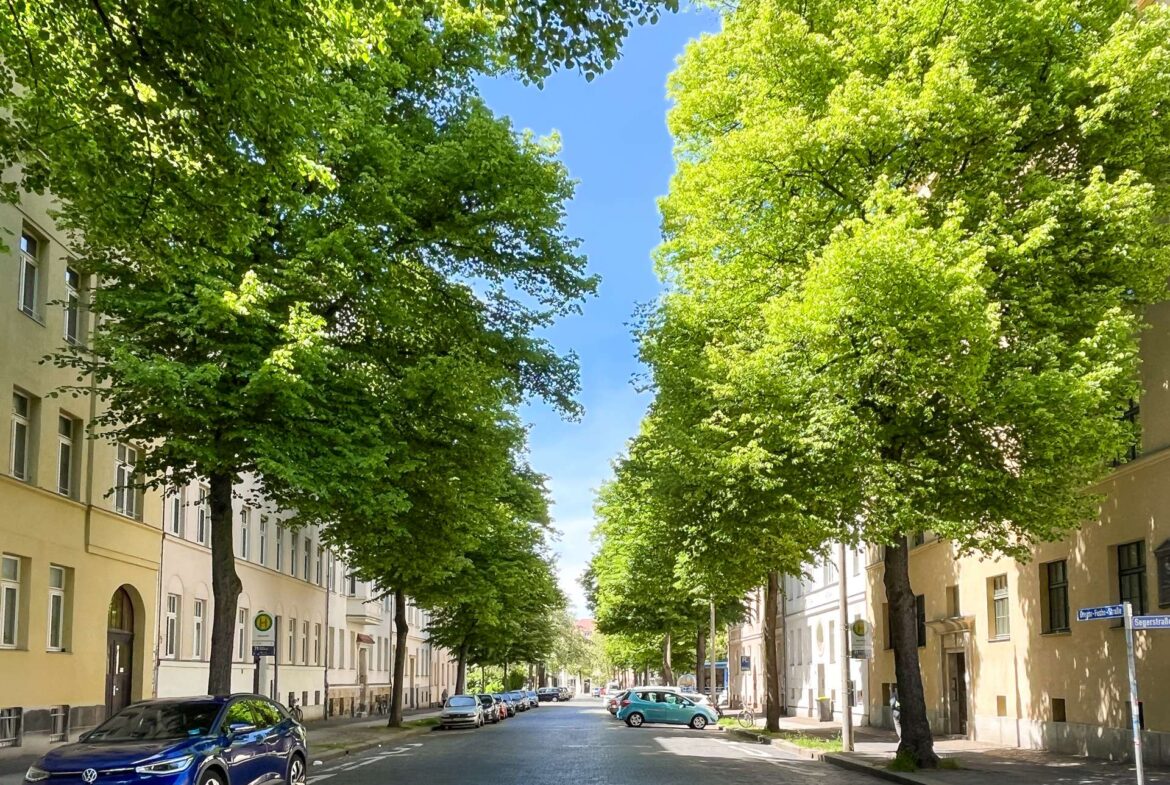 Blick zur Straße
