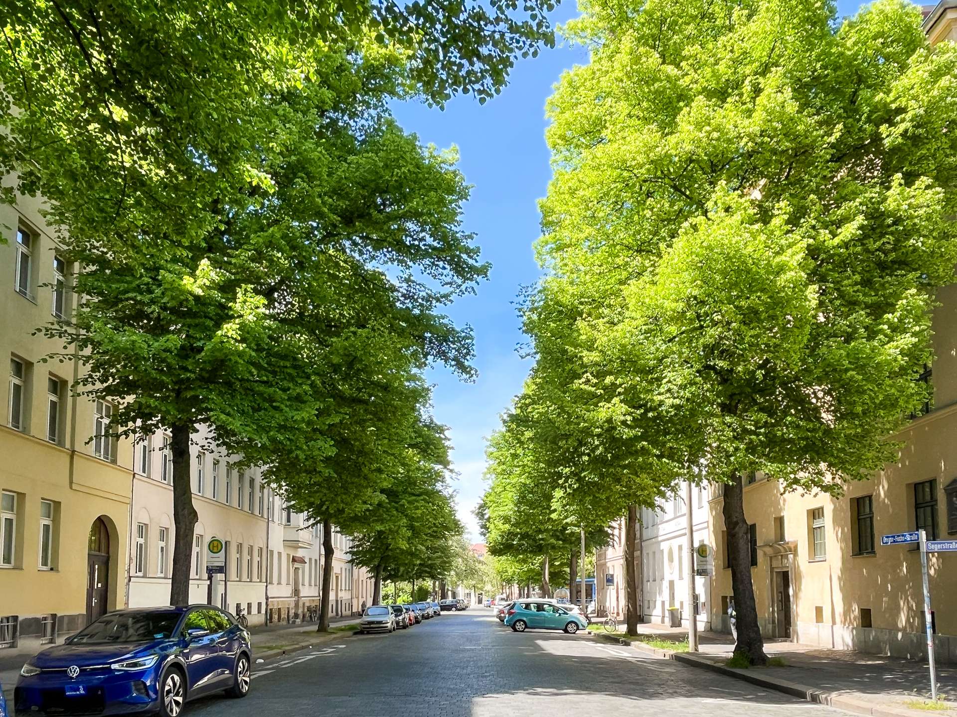 Blick zur Straße