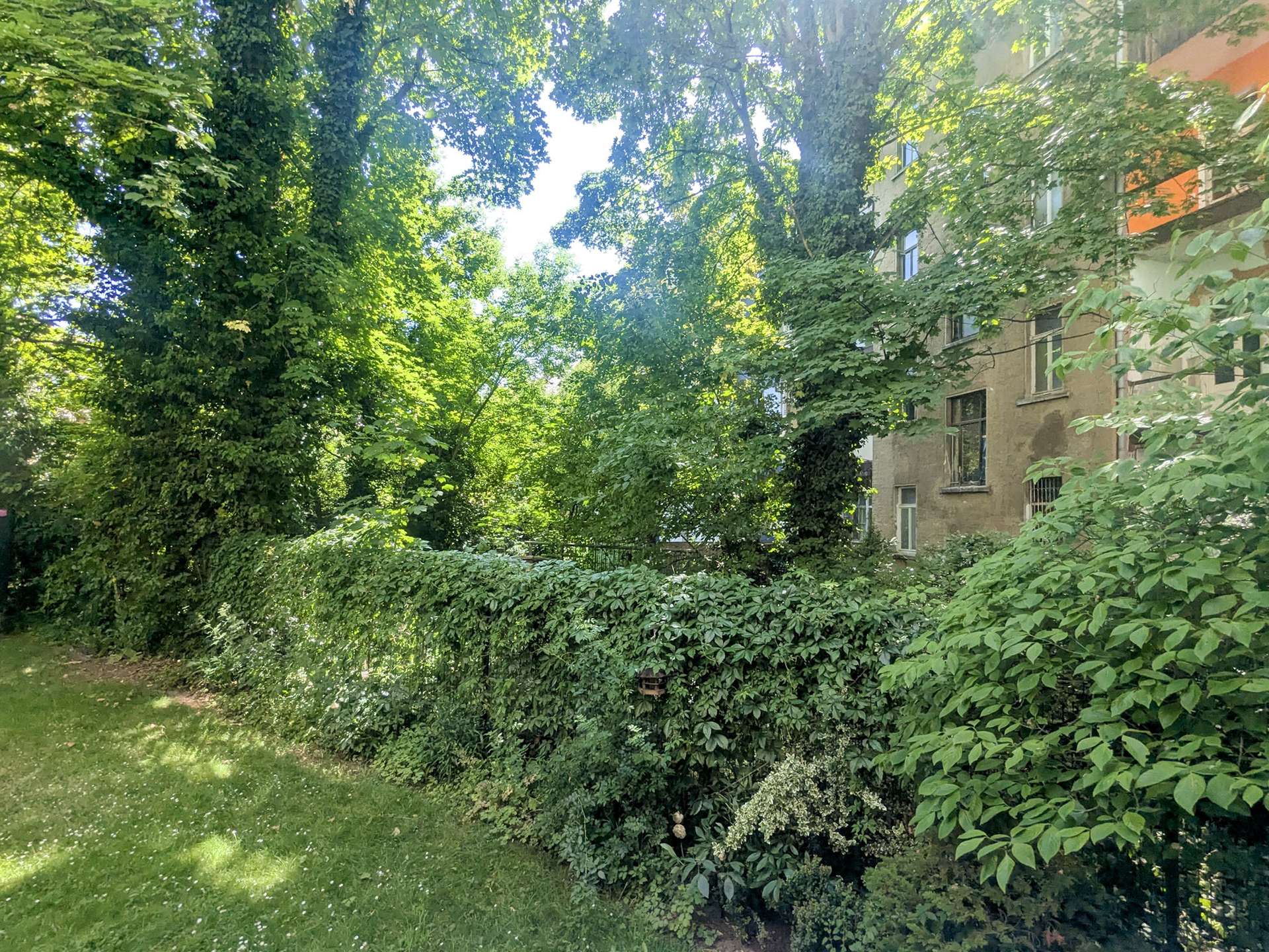 Blick vom Balkon